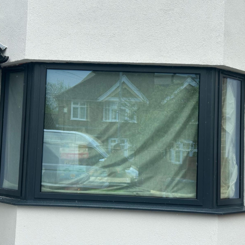 Bay Windows 1